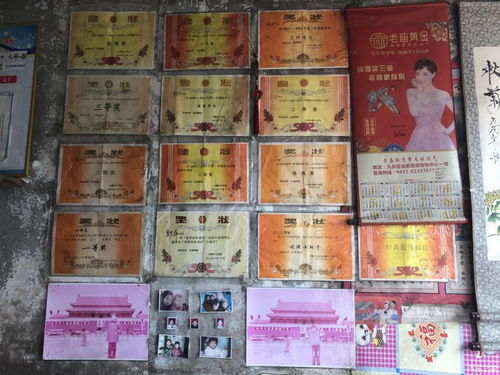 七部门联合推进房屋建筑和市政基础施工图管理改革，助力行业数字化转型