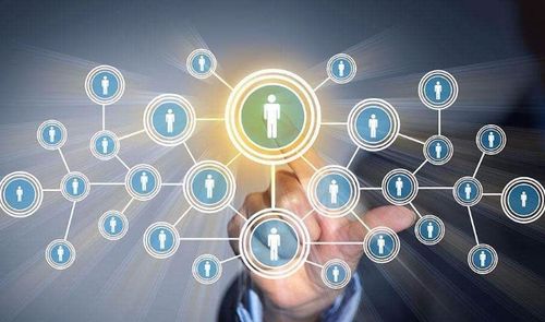 互联网技术与开放经济体制 双轮驱动下的创业新选择